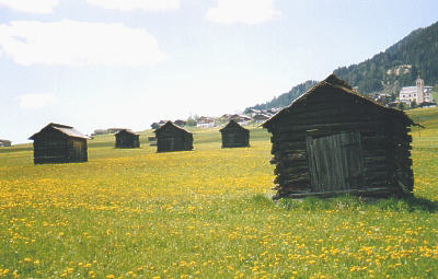 (c) Hermann Maier